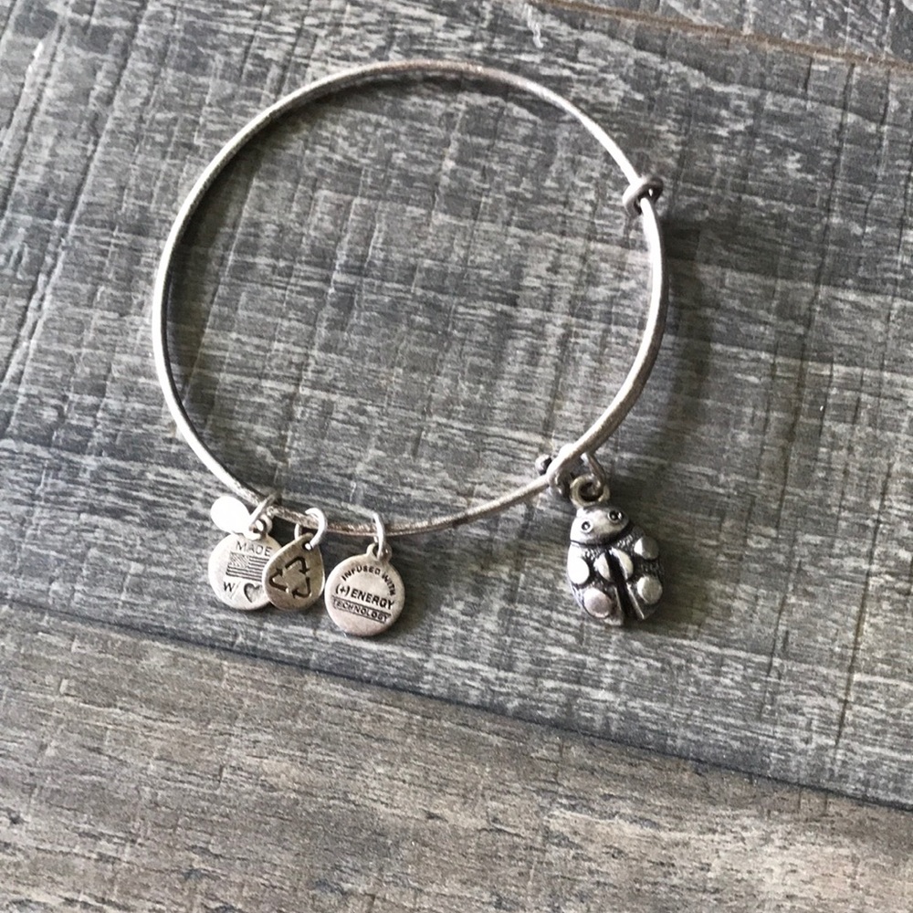NEW Alex and Ani Bracelet